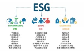 ESG赋能电商：兴长信达解锁2026年品牌多元化营销思路